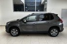 Wagens - Peugeot 2008 Style